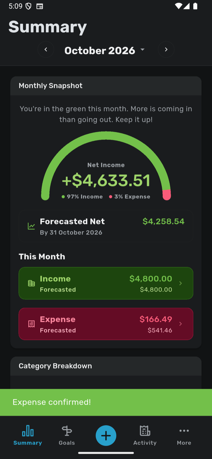 Savvy Expense Pro see your financial snapshot